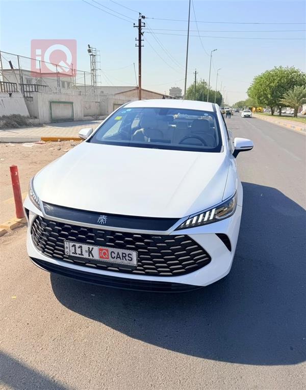 بي واي دي Qin Plus 2025 للبيع في العراق -  بغداد